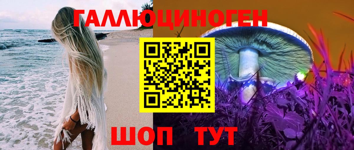 Псилоцибиновые грибы GOLDEN TEACHER Малоярославец
